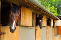 free Auchentibber stable construction quotes